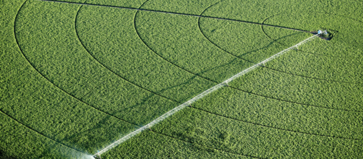 agricultural sprinkler in the field