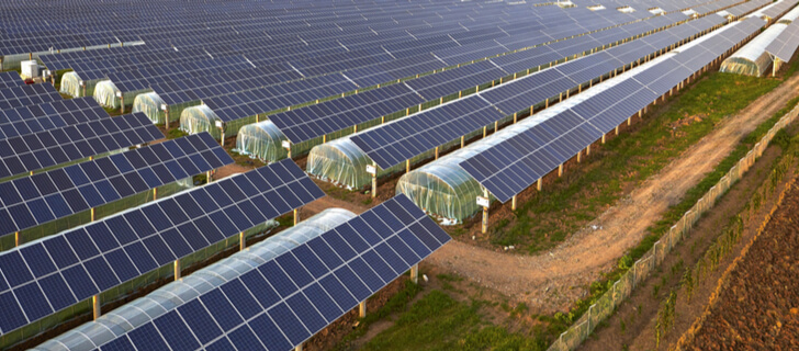 solar panels on a field