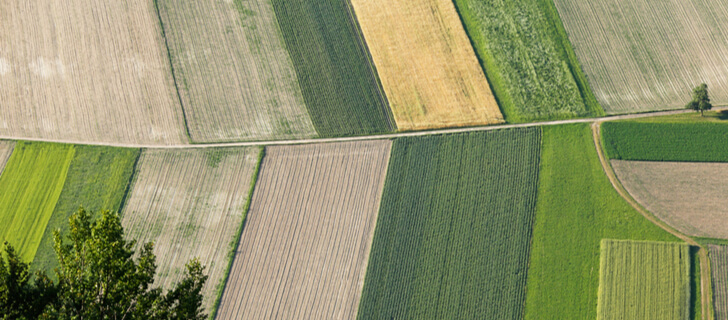 neatly cultivated farming land