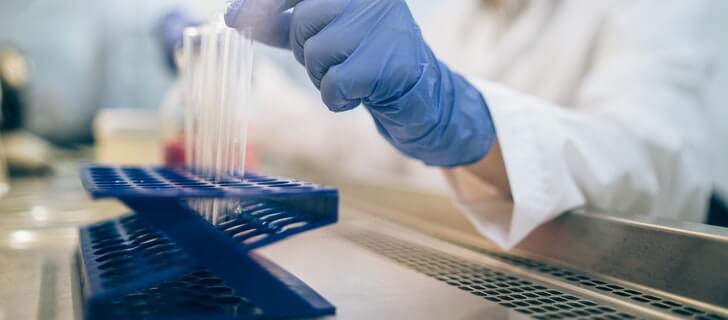 laboratory research of chemical content in soil