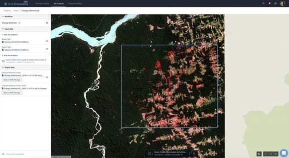 imagen de las áreas exactas de deforestación de la selva amazónica en Brasil