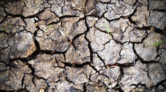 as temperaturas altas provocam rachaduras no terreno