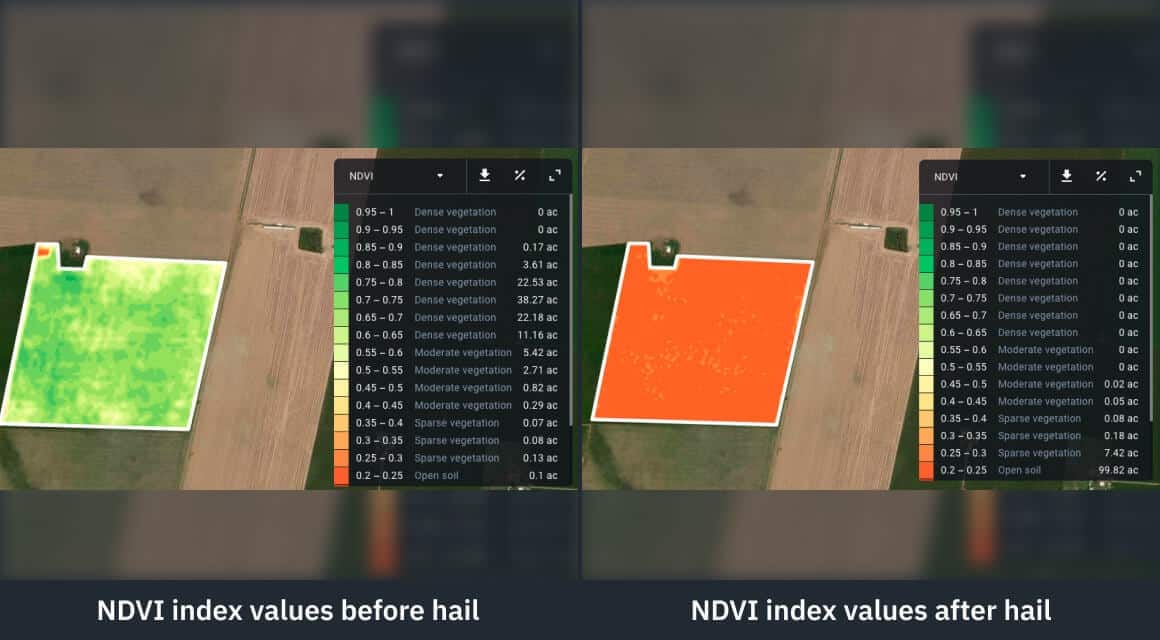 changes in NDVI index of a field damaged by hail