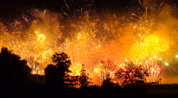 muitos fogos artifícios perto da floresta