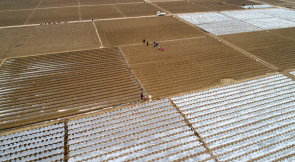 preparación del campo para la solarización