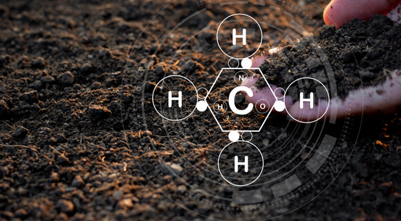 solarization changes soil chemistry