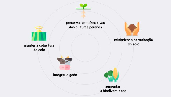 cinco princípios da agricultura regenerativa