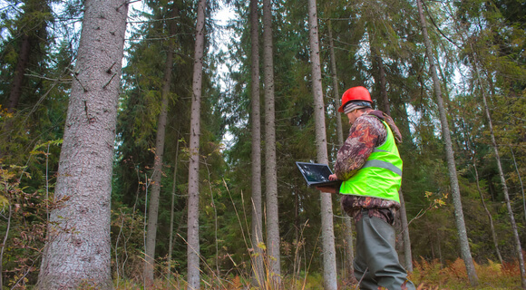 checking forest health via EOS Forest Monitoring app