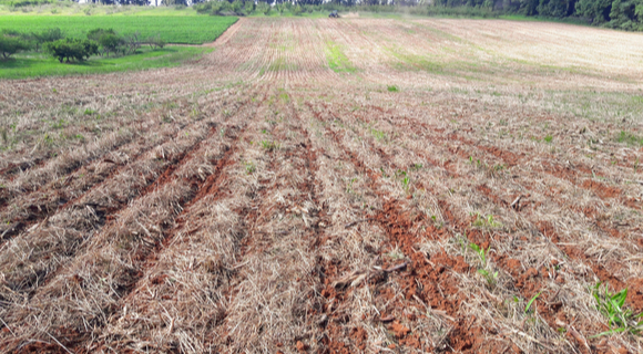 implementation of the conservation tillage