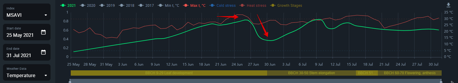 temperature and vegetation index correlation