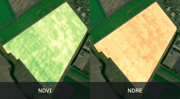 early season split view of vegetation based on two indices