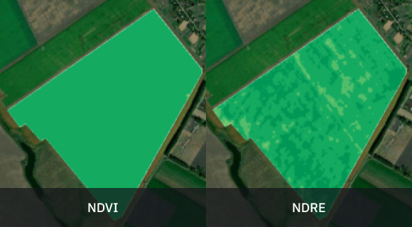 late season split view of vegetation based on two indices