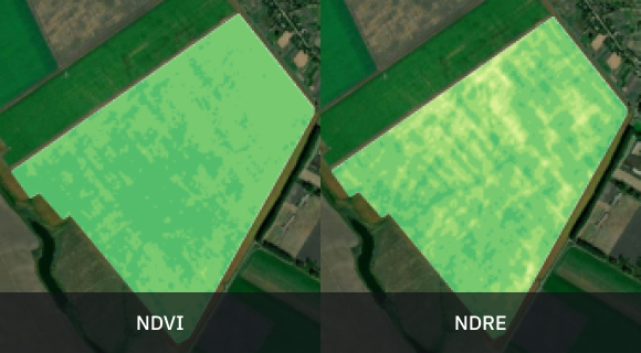 mid-season split view of vegetation based on two indices