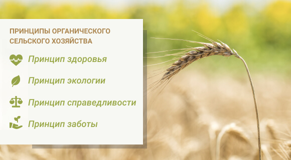 принципы органического земледелия