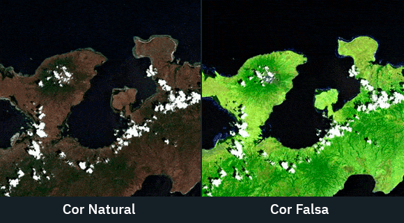 imagens de satélite de cor natural e cor falsa