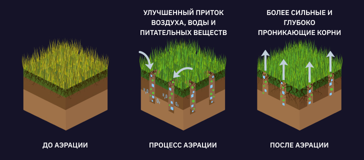 схема влияния аэрации почвы на развитие растений