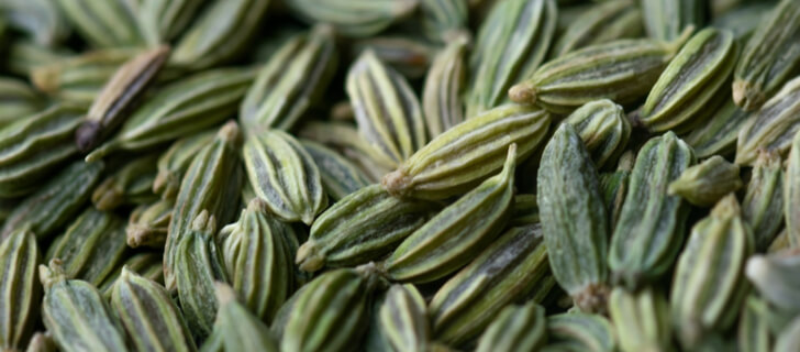 fennel seeds after treatment