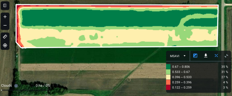 field sown by treated alfalfa seeds and untreated ones
