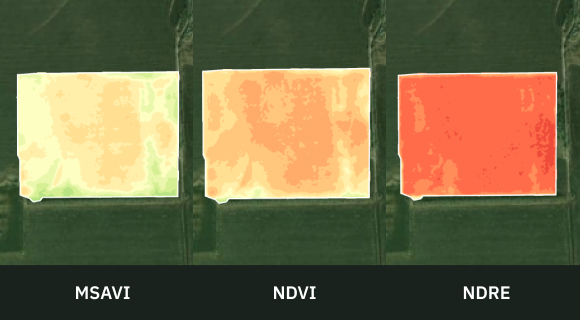 comparison of three indices