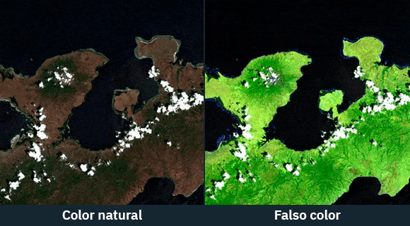 imágenes de satélite en color natural y falso color